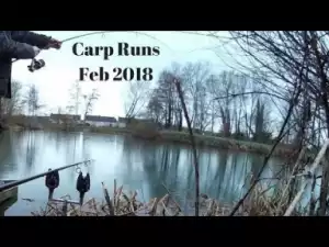 Video: Carp Run Documentary, Early February 2018
